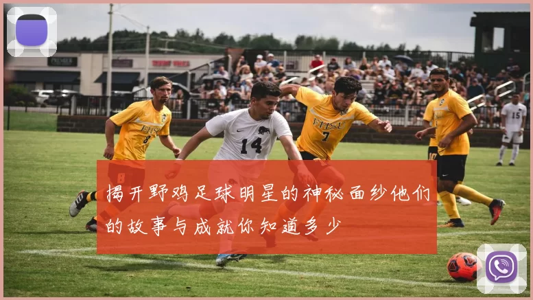揭开野鸡足球明星的神秘面纱他们的故事与成就你知道多少