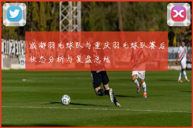 成都羽毛球队与重庆羽毛球队赛后状态分析与复盘总结