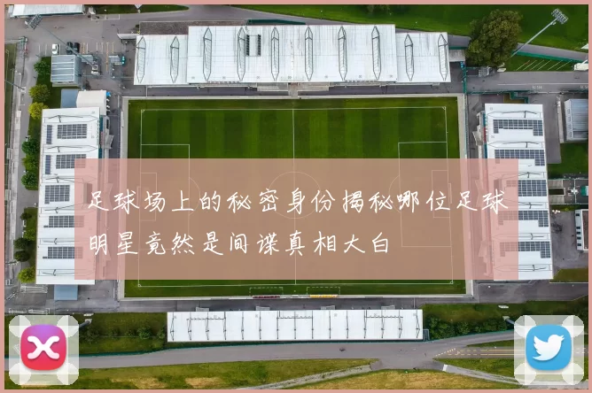 足球场上的秘密身份揭秘哪位足球明星竟然是间谍真相大白