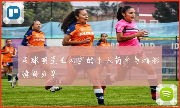 足球明星王大宝的个人简介与精彩瞬间分享