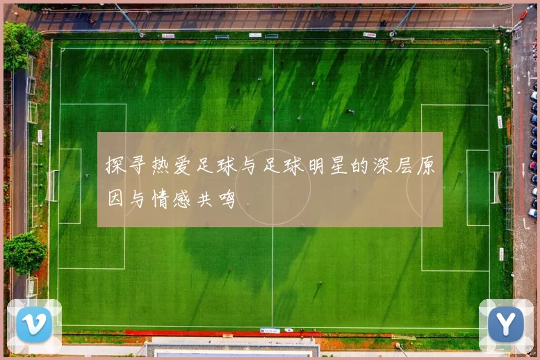 探寻热爱足球与足球明星的深层原因与情感共鸣