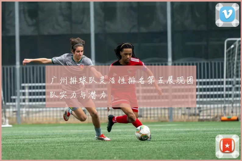 广州排球队灵活性排名第五展现团队实力与潜力