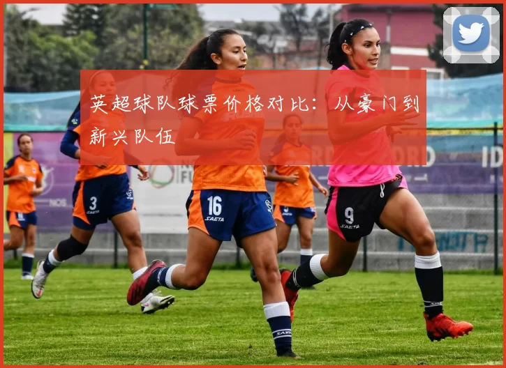 英超球队球票价格对比：从豪门到新兴队伍