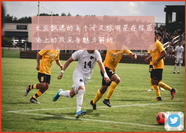 长发飘逸的高个子足球明星在绿茵场上的风采与魅力解析