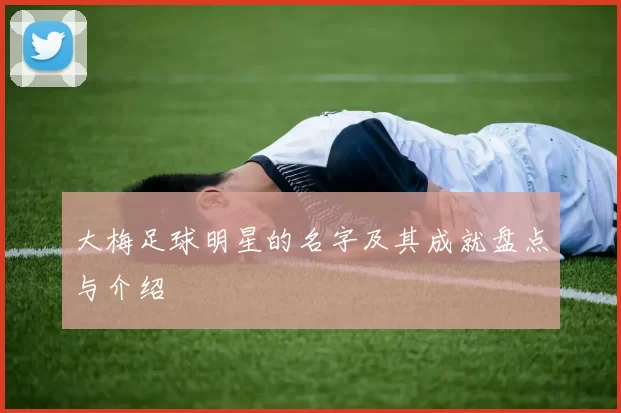 大梅足球明星的名字及其成就盘点与介绍
