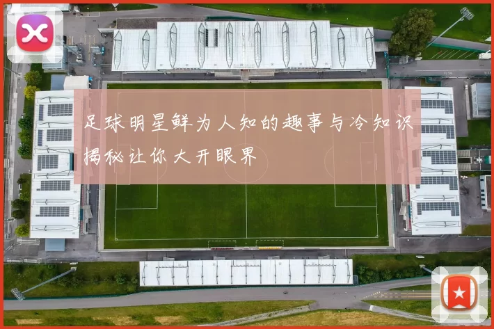 足球明星鲜为人知的趣事与冷知识揭秘让你大开眼界