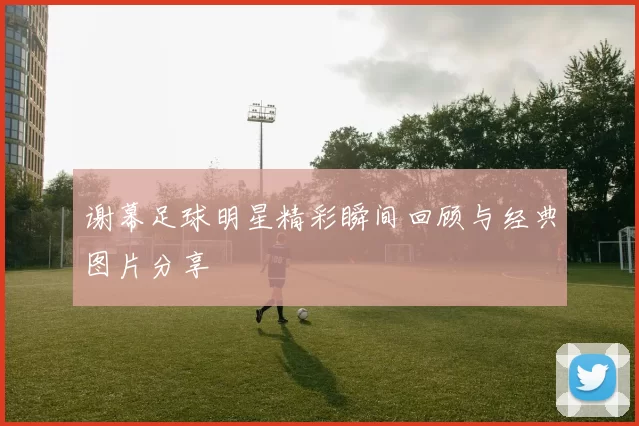 谢幕足球明星精彩瞬间回顾与经典图片分享