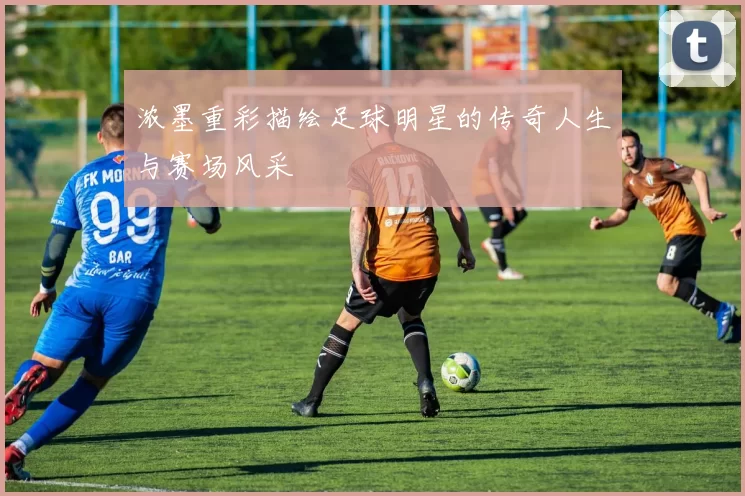 浓墨重彩描绘足球明星的传奇人生与赛场风采