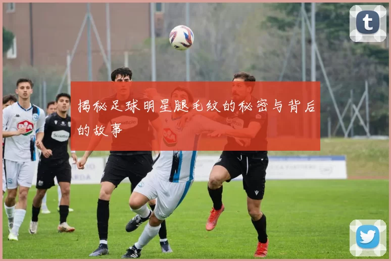 揭秘足球明星腿毛纹的秘密与背后的故事