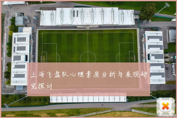上海飞盘队心理素质分析与表现研究探讨