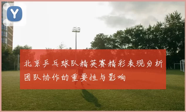 北京乒乓球队精英赛精彩表现分析团队协作的重要性与影响