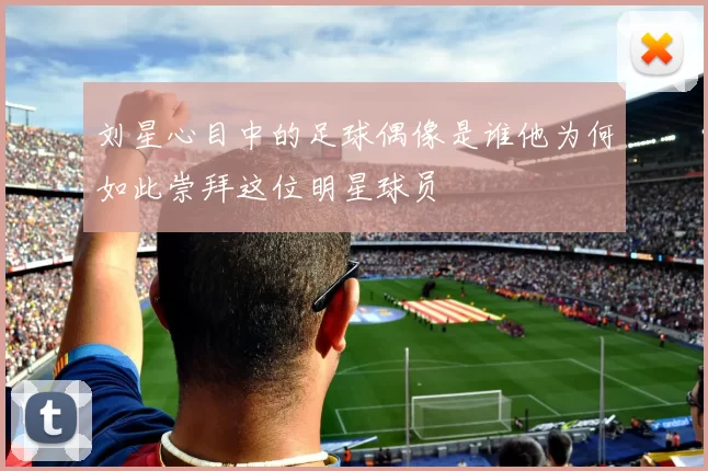 刘星心目中的足球偶像是谁他为何如此崇拜这位明星球员