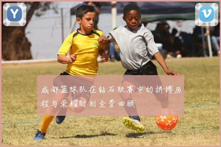成都篮球队在钻石联赛中的拼搏历程与荣耀时刻全景回顾