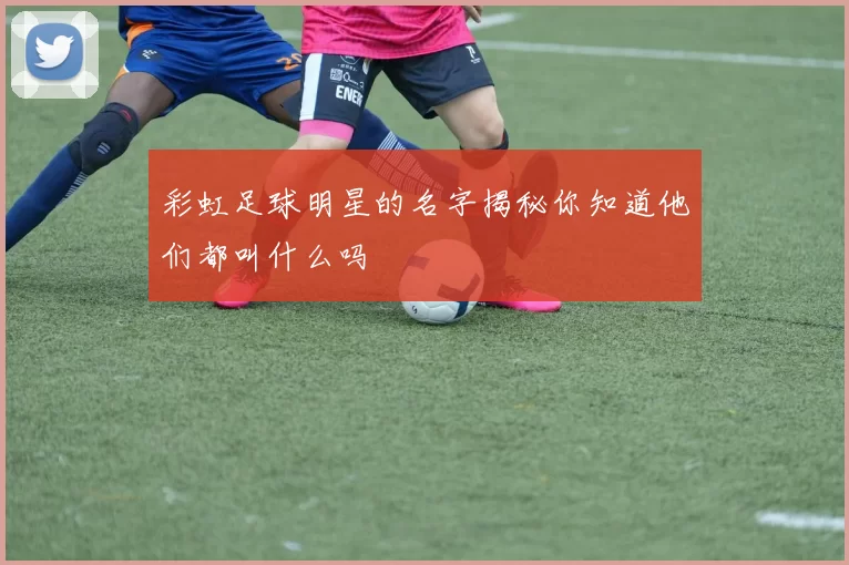 彩虹足球明星的名字揭秘你知道他们都叫什么吗